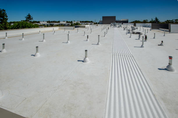 Roof Coating Services in Zumbrota, MN